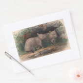 Sticker Rectangulaire Wombat à nez poilu par Joseph Wolf (Enveloppe)