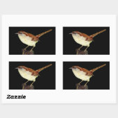 Sticker Rectangulaire Wren (Feuille)