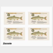 Sticker Rectangulaire Yamame (Oncorhynchus masou) – English Illust (Feuille)