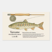 Sticker Rectangulaire Yamame (Oncorhynchus masou) – English Illust (Devant)