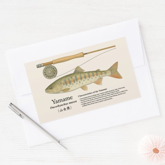 Sticker Rectangulaire Yamame (Oncorhynchus masou) – English Illust (Enveloppe)