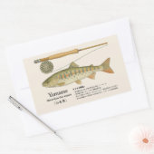Sticker Rectangulaire Yamame (Oncorhynchus masou) – Fish Illust (Enveloppe)