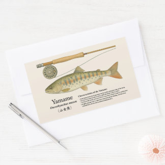 Sticker Rectangulaire Yamame (Oncorhynchus masou) – Illustration anglais