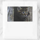 Sticker Rectangulaire Yeux bleus de chat (Sac)