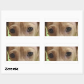 Sticker Rectangulaire yeux crème dachshund (Feuille)