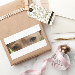 Sticker Rectangulaire yeux crème dachshund