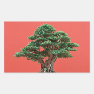 Sticker Rectangulaire Yew bonsai