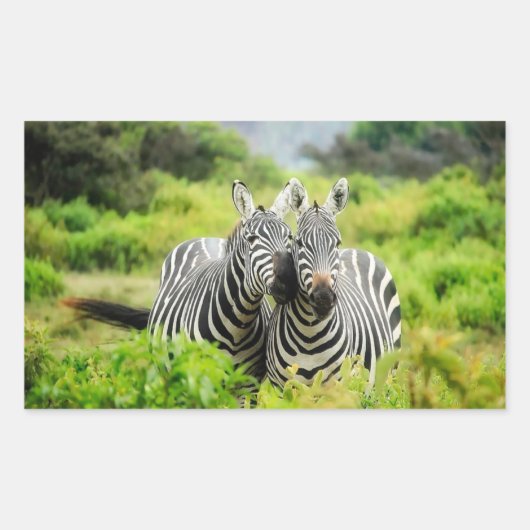 Sticker Rectangulaire Zèbres dans la nature (Devant)