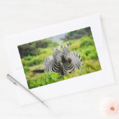 Sticker Rectangulaire Zèbres dans la nature (Enveloppe)