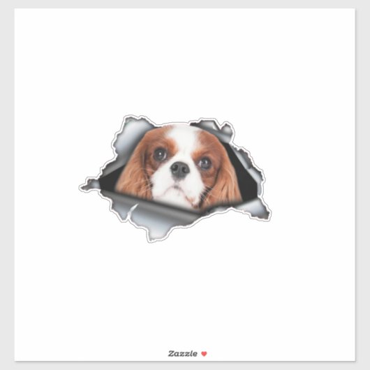 Sticker Red Cavalier King car decal, Red Cavalier King (Feuille)