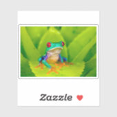 Sticker Red-eyed tree frog, Costa Rica (Feuille)