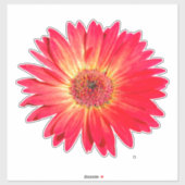 Sticker Red Gerbera Daisy (Feuille)