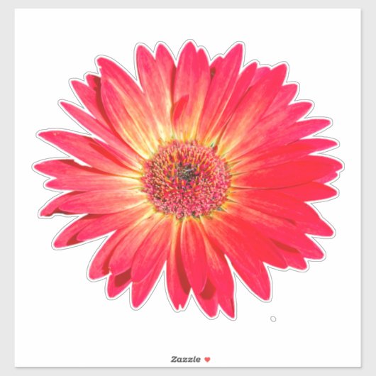 Sticker Red Gerbera Daisy (Feuille)