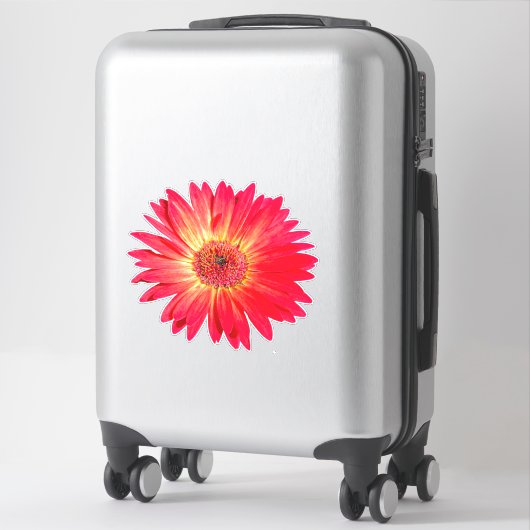 Sticker Red Gerbera Daisy (Sur valise)