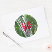 Sticker Red Ginger (Enveloppe)