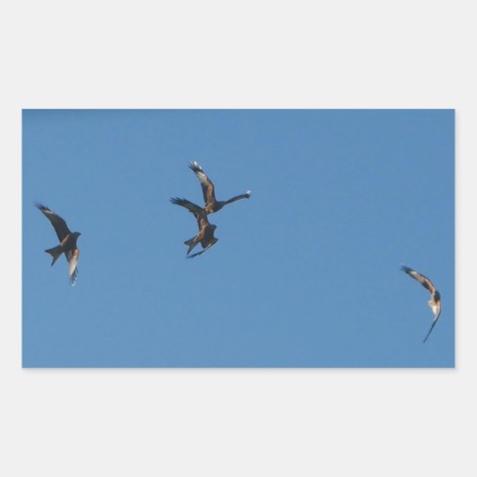 Sticker Red Kites (Devant)