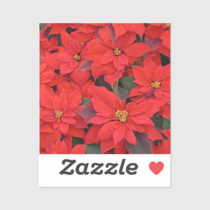 Sticker Red Poinsettias I Christmas Holiday Floral Photo