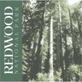 Sticker Redwood, Décal du parc national (Devant)