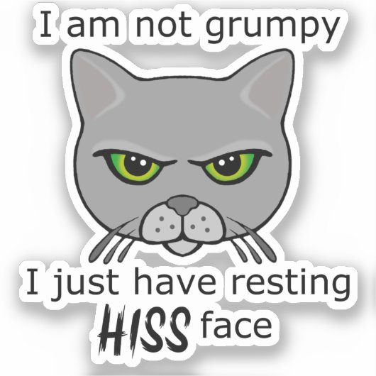 Sticker Repose Hiss Face Gray Chat - Avantages PACR (Recto)