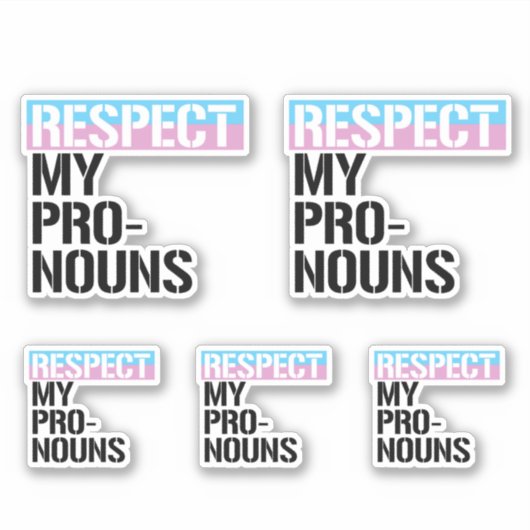 Sticker Respectez Mes Pronoms (Devant)