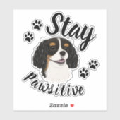 Sticker Restez Pawsitive Tri Cavalier King Charles (Feuille)