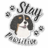 Sticker Restez Pawsitive Tri Cavalier King Charles (Devant)
