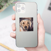 Sticker Retriever du Labrador (Téléphone)