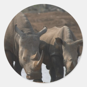 Sticker Rhinos Noir