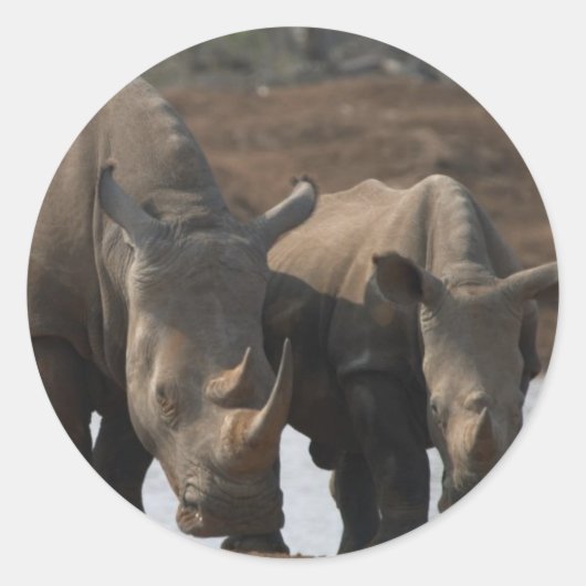 Sticker Rhinos Noir (Devant)