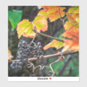 Sticker Ripe Isabella (Feuille)