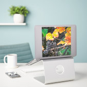 Sticker Ripe Isabella (Ordinateur portable sur le bureau)