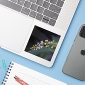 Sticker Rivina humilis (Ordinateur portable avec iPhone)