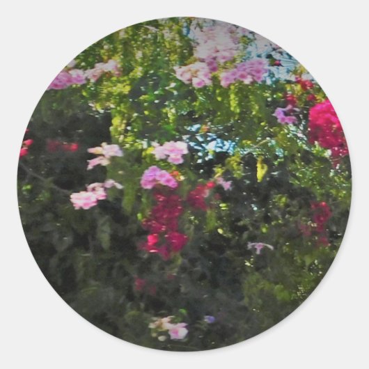 STICKER ROL  (Voorkant)