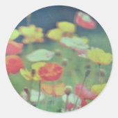 STICKER ROL (Voorkant)