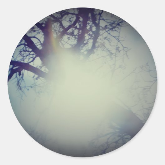 STICKER ROLL  (Devant)