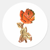 STICKER ROLL  (Voorkant)