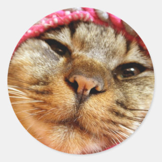 STICKER ROND ピンク帽子のチャド