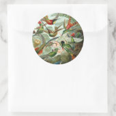 Sticker Rond 12 oiseaux charmeurs américains races peintes dess (Sac)