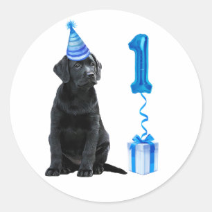 Sticker Rond 1er Anniversaire Chiot Thème - Chien bleu mignon 