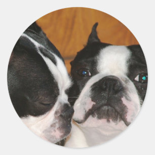 Sticker Rond 2009-Cover