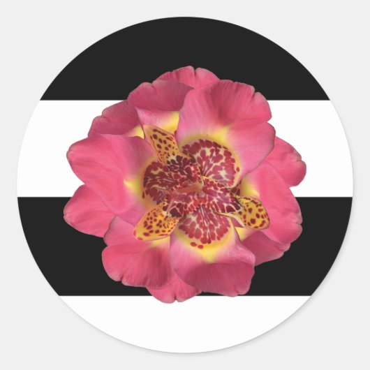 Sticker Rond 20 - 1,5 Enveloppe Sceau moderne Grille Noir Blanc (Devant)