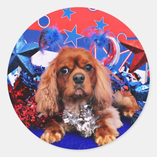 Sticker Rond 4 juillet - Cavalier King Charles Spaniel - Cooper (Devant)