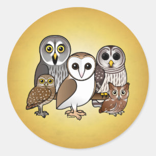 Sticker Rond 5 Chouettes Birdables