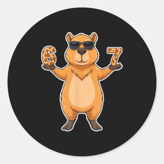 Sticker Rond 67 Capybara Sungles Gen Alpha Slang Funny Six Seve (Devant)