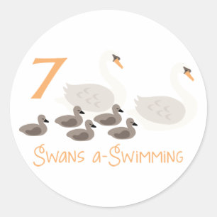 Sticker Rond 7 Swans a Natation
