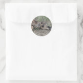 Sticker Rond A6 Bébé Antilope Pronghorn (Sac)