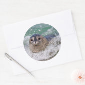 Sticker Rond A baby seal surfing (Enveloppe)