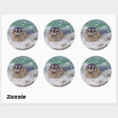 Sticker Rond A baby seal surfing (Feuille)