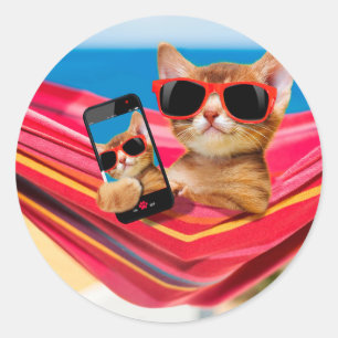 Sticker Rond A cute little cat.