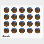 Sticker Rond A Deer : Gold Red Green et Blue (Feuille)